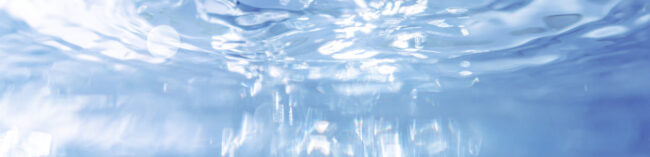 Transparenz und Nachvollziehbarkeit Transparenz und Nachvollziehbarkeit