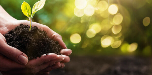 klima-energie-oekologie-fwg-weilrod klima-energie-oekologie-fwg-weilrod