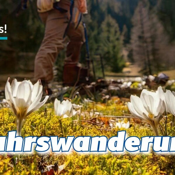 Frühjahrswanderung 2025 Frühjahrswanderung